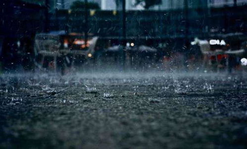 關(guān)于猛烈的雨的詩句