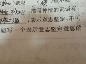關(guān)于不怕困難意志堅(jiān)強(qiáng)的古詩(shī)句