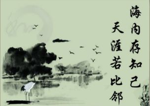 關于朋友冷淡的詩句