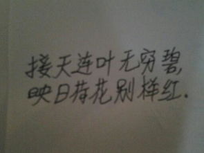 與鏡子有關(guān)的古詩(shī)句