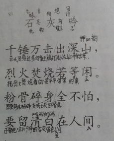 關(guān)于終于忙完的詩句