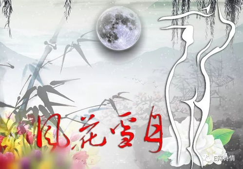 古詩中的風(fēng)花雪月詩句加注釋評點(diǎn)