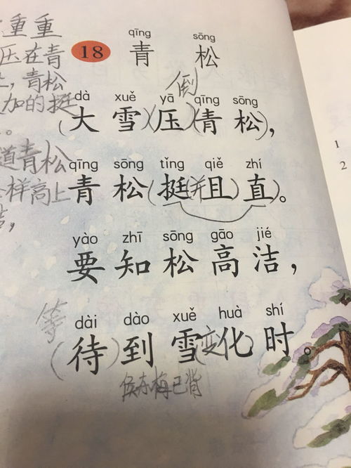 日語,青松,詩句