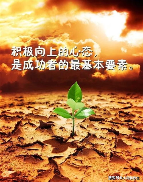 詩句,拼搏,能量