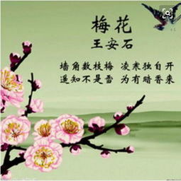 關(guān)于講梅花的詩句