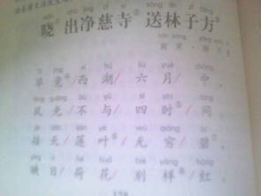 寫關(guān)于夏季景物的詩句有哪些