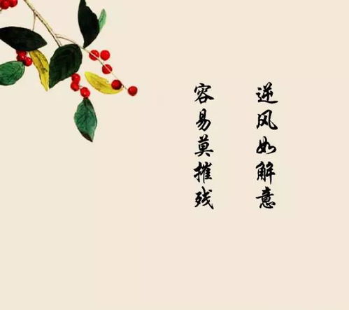 關于心詩句有哪些