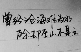 描述愛情的詩句唯美,詩經(jīng)描述愛情的詩句,描述愛情長久的詩句