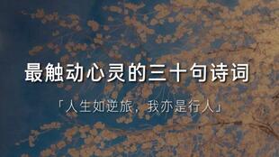 關(guān)于心靈的古詩句