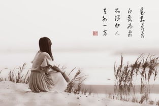 關于蒹葭的愛情詩句
