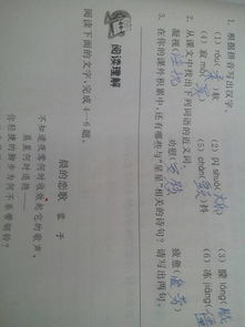 星星的愛情古詩句
