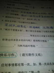 寫一篇關(guān)于古詩(shī)句的作文