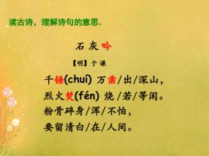 六級(jí)學(xué)過(guò)帶有秋字的古詩(shī)句