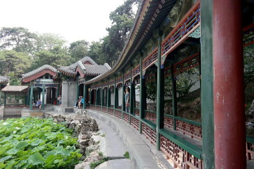 詩句,壽山