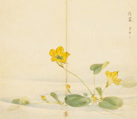 詩經關于花草的詩句