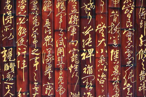 描寫海南的詩(shī)句古詩(shī)