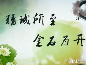 關于老師的名言和詩句有哪些,關于老師的名言和詩句還有文章,老師對學生的期望名言或詩句