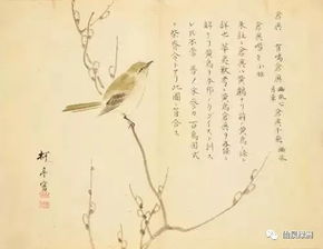 詩經(jīng)里關(guān)于七月的詩句