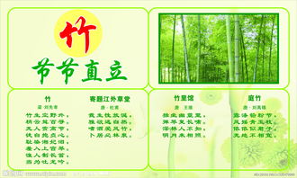 梅花蘭花的詩句古詩自創(chuàng)
