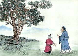 鳥的古詩(shī)句白居易翻譯