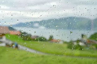 詩句,小雨,清晨