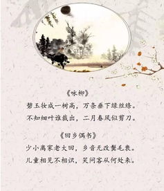關于賀知章放蕩不羈的詩句