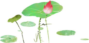 菱角,詩(shī)句