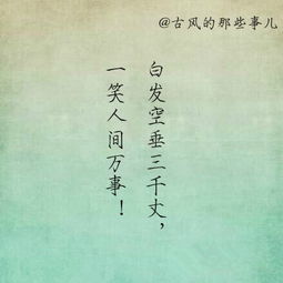 關(guān)于我最喜歡的詩句