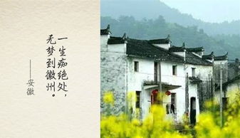 關(guān)于城市的古詩句