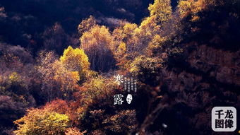 關于節(jié)氣景色的詩句