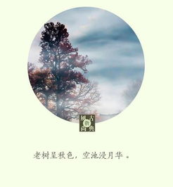 贊美秋天的詩句古詩,關于描寫秋天的詩句古詩,秋天的詩句唯美古詩