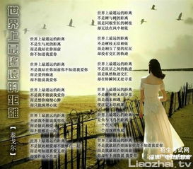 詩句,親情,感動(dòng)