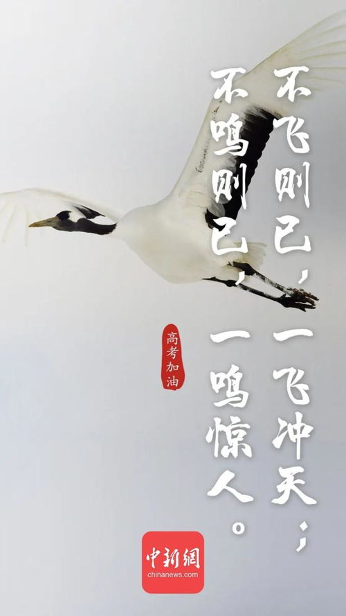 舞獅,詩句