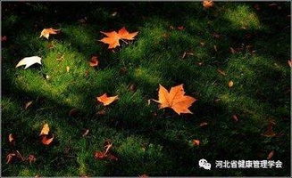 古詩,詩句,親人,珍惜