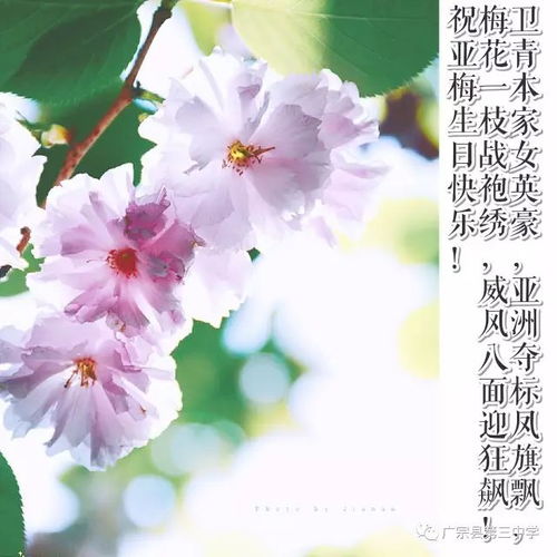 送給老師的祝福語(yǔ)古詩(shī)詩(shī)句元宵節(jié),送給語(yǔ)文老師的古詩(shī)詞,結(jié)婚祝福語(yǔ)古詩(shī)詩(shī)句
