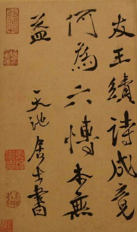 寫竹子的詩句古詩徐渭