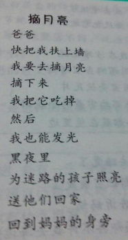 有什么,一句,詩(shī)句,描寫