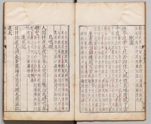 詩句,王維