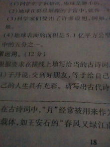 古詩(shī)中描寫速度的詩(shī)句