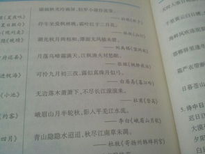有關(guān)夏天的詩句古詩大全,描寫夏天的詩句古詩大全,夏天的花詩句古詩大全
