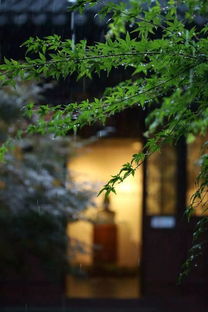 關(guān)于夏季多雨的詩句