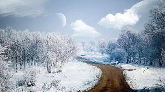 雪景,古詩(shī),詩(shī)句,描寫