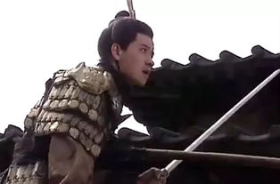 關于司馬昭的的詩句