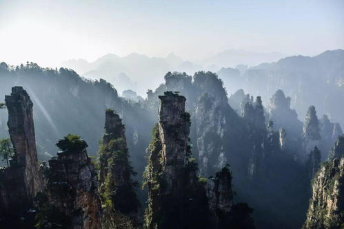 關(guān)于四月的大氣的詩句