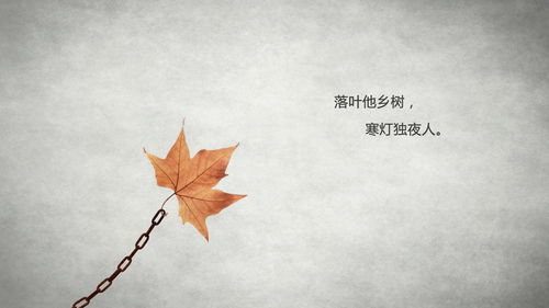 寫孤獨寂寞的古詩句