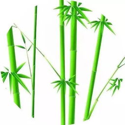 竹子唯美古詩句