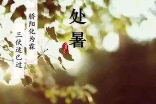 關(guān)于處暑的古詩句文
