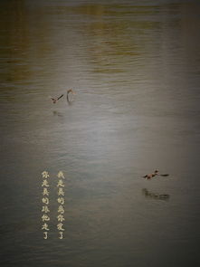 關(guān)于景色加詩句的