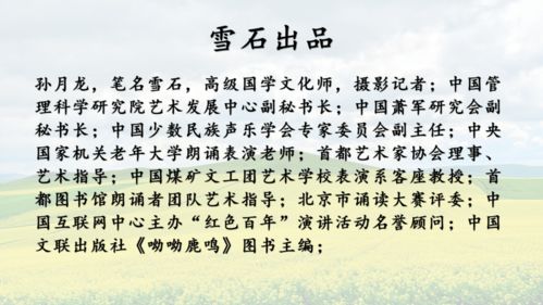 關于抓執(zhí)行的詩句