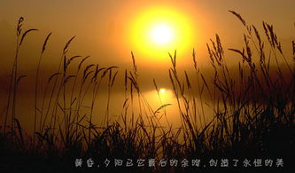 詩句,夜晚,安靜,表達